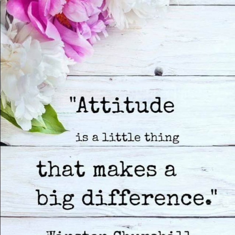 Meet your Posher, Shelly